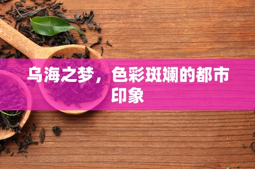乌海之梦，色彩斑斓的都市印象