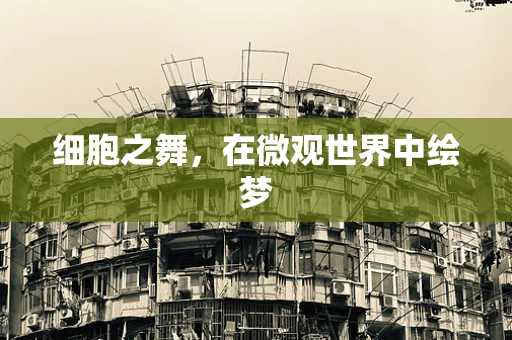 细胞之舞，在微观世界中绘梦