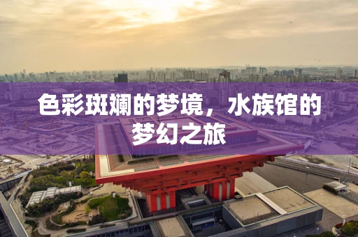 色彩斑斓的梦境，水族馆的梦幻之旅