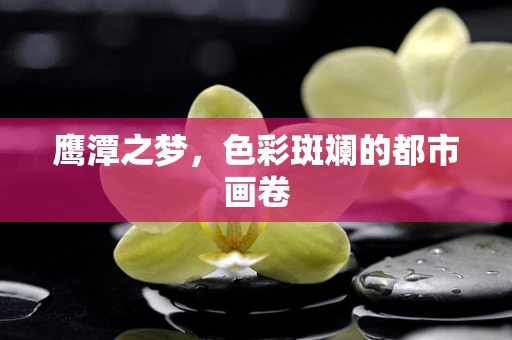 鹰潭之梦，色彩斑斓的都市画卷