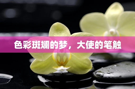 色彩斑斓的梦，大使的笔触