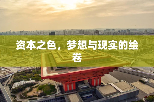 资本之色，梦想与现实的绘卷