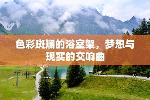 色彩斑斓的浴室架，梦想与现实的交响曲