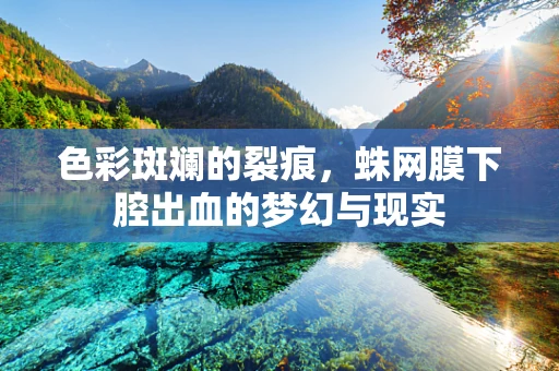 色彩斑斓的裂痕，蛛网膜下腔出血的梦幻与现实