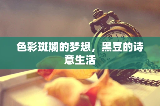 色彩斑斓的梦想，黑豆的诗意生活