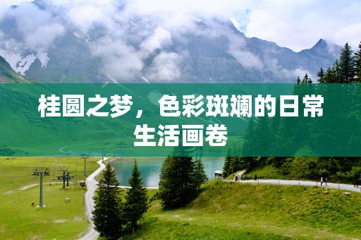 桂圆之梦，色彩斑斓的日常生活画卷
