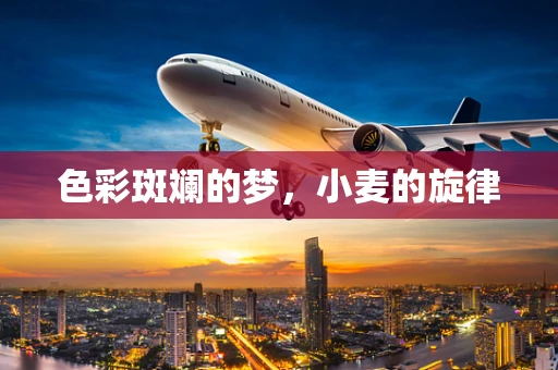 色彩斑斓的梦，小麦的旋律