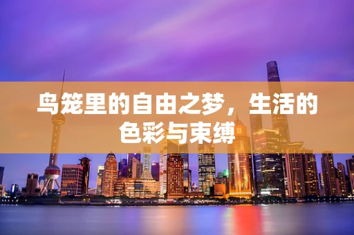 鸟笼里的自由之梦，生活的色彩与束缚