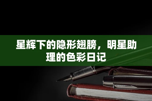 星辉下的隐形翅膀，明星助理的色彩日记
