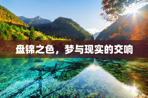 盘锦之色，梦与现实的交响