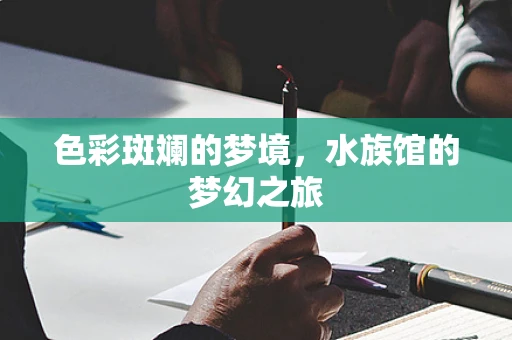 色彩斑斓的梦境，水族馆的梦幻之旅