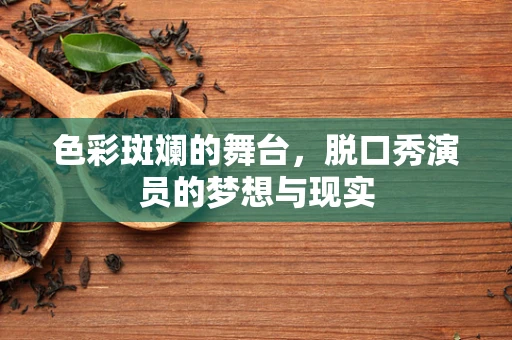 色彩斑斓的舞台，脱口秀演员的梦想与现实