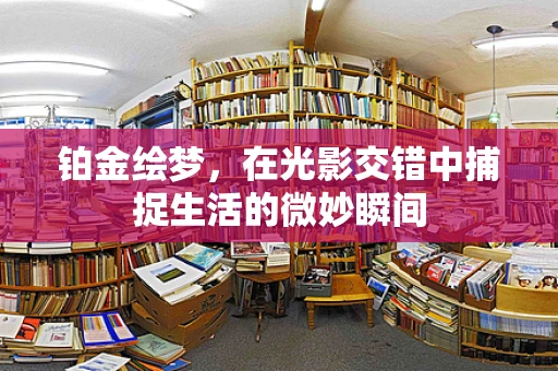 铂金绘梦，在光影交错中捕捉生活的微妙瞬间