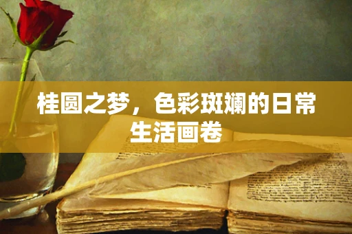 桂圆之梦，色彩斑斓的日常生活画卷