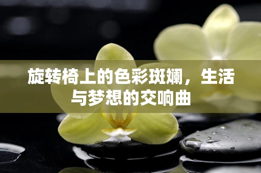 旋转椅上的色彩斑斓，生活与梦想的交响曲