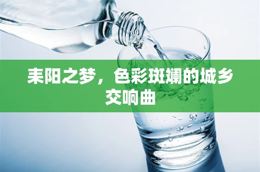耒阳之梦，色彩斑斓的城乡交响曲