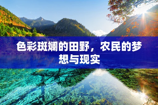 色彩斑斓的田野，农民的梦想与现实