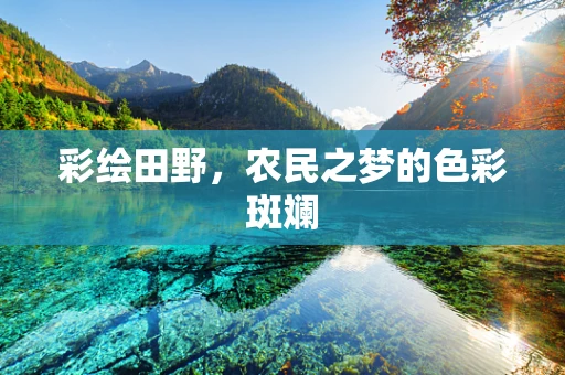彩绘田野，农民之梦的色彩斑斓