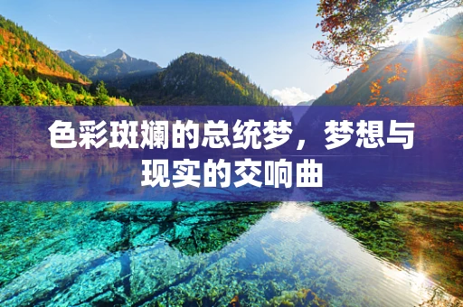 色彩斑斓的总统梦，梦想与现实的交响曲