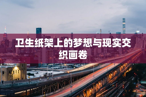 卫生纸架上的梦想与现实交织画卷