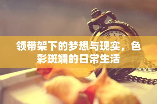 领带架下的梦想与现实，色彩斑斓的日常生活