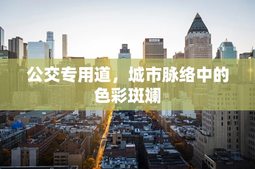 公交专用道，城市脉络中的色彩斑斓