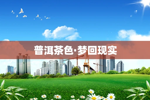 普洱茶色·梦回现实