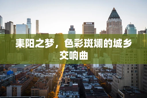 耒阳之梦，色彩斑斓的城乡交响曲