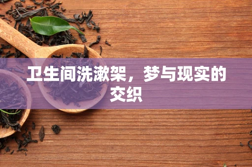 卫生间洗漱架，梦与现实的交织