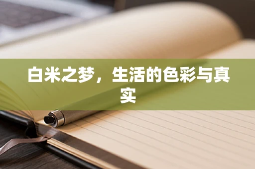 白米之梦，生活的色彩与真实
