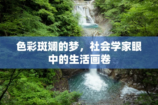 色彩斑斓的梦，社会学家眼中的生活画卷