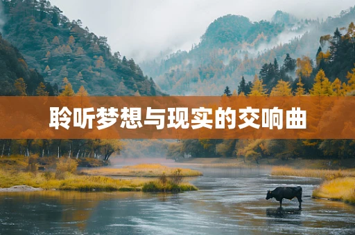 聆听梦想与现实的交响曲