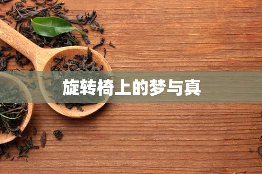 旋转椅上的梦与真