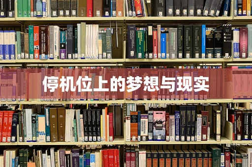 停机位上的梦想与现实