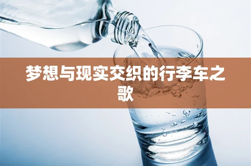 梦想与现实交织的行李车之歌