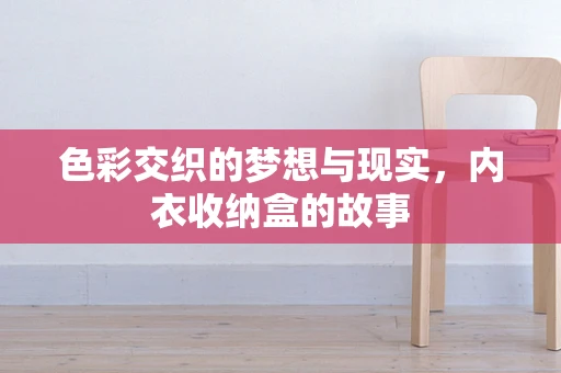 色彩交织的梦想与现实，内衣收纳盒的故事