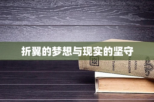 折翼的梦想与现实的坚守
