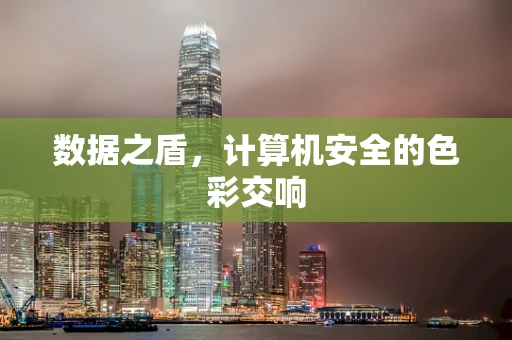 数据之盾，计算机安全的色彩交响