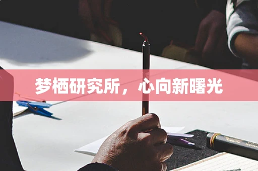 梦栖研究所，心向新曙光