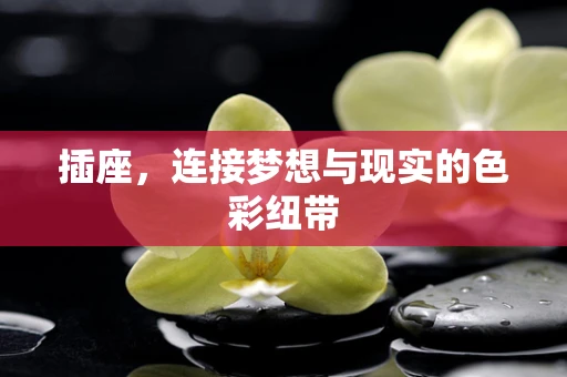插座，连接梦想与现实的色彩纽带