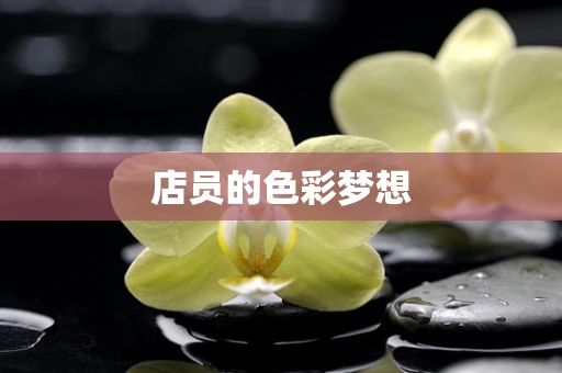 店员的色彩梦想