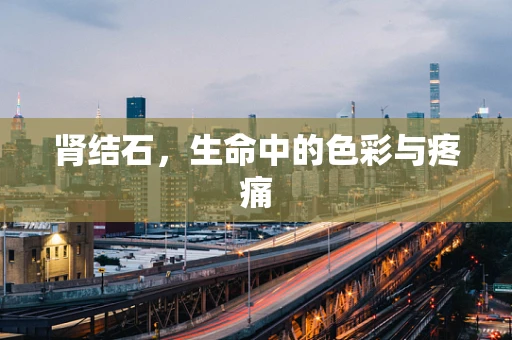 肾结石，生命中的色彩与疼痛