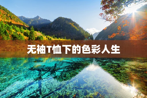 无袖T恤下的色彩人生