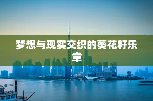 梦想与现实交织的葵花籽乐章