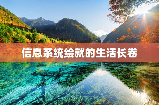 信息系统绘就的生活长卷
