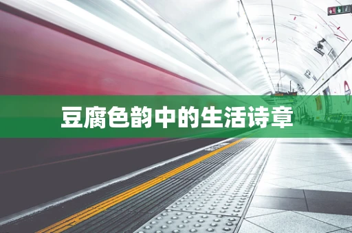 豆腐色韵中的生活诗章
