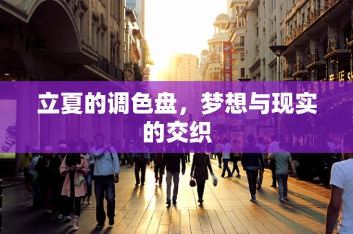 立夏的调色盘，梦想与现实的交织
