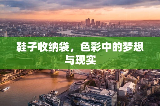 鞋子收纳袋，色彩中的梦想与现实