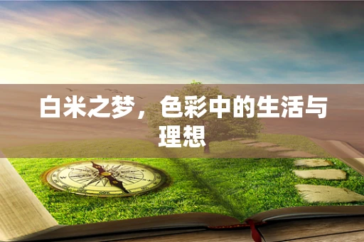 白米之梦，色彩中的生活与理想