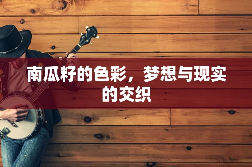 南瓜籽的色彩，梦想与现实的交织